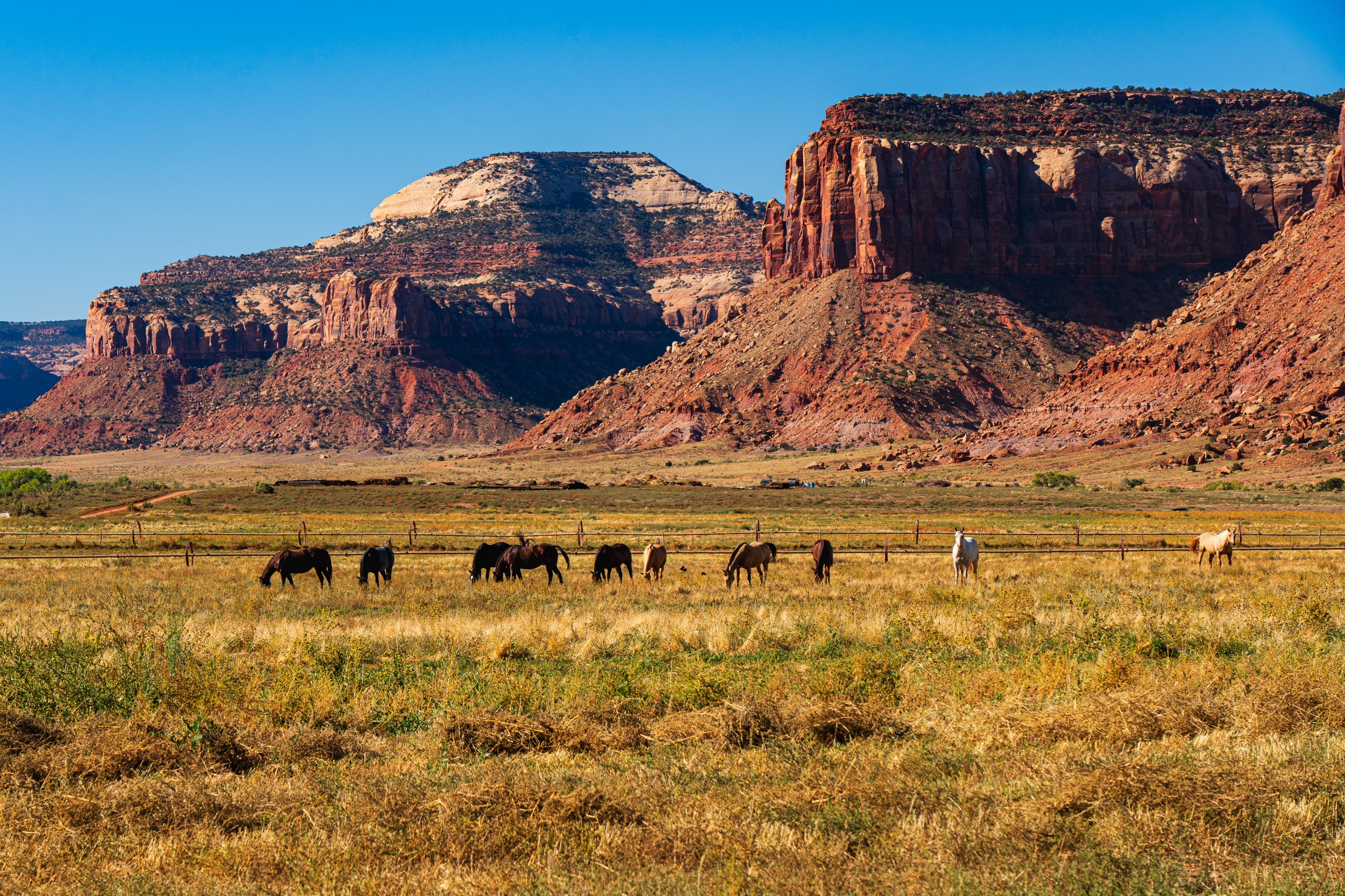 USA 2024 5 Sterne 99